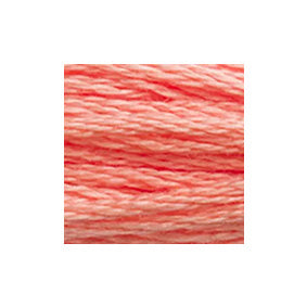 DMC 繡線-8米單支(No: #904- #3341)