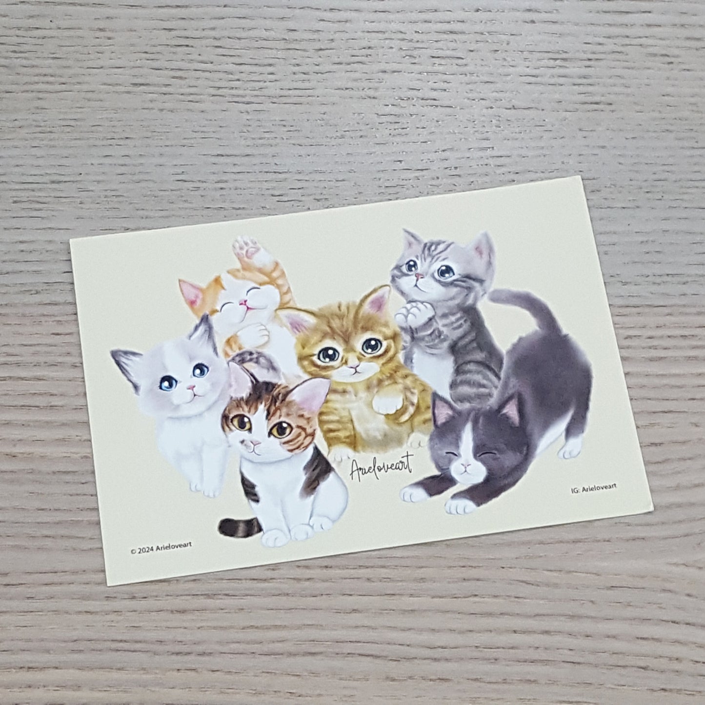 Ariel自家設計postcard