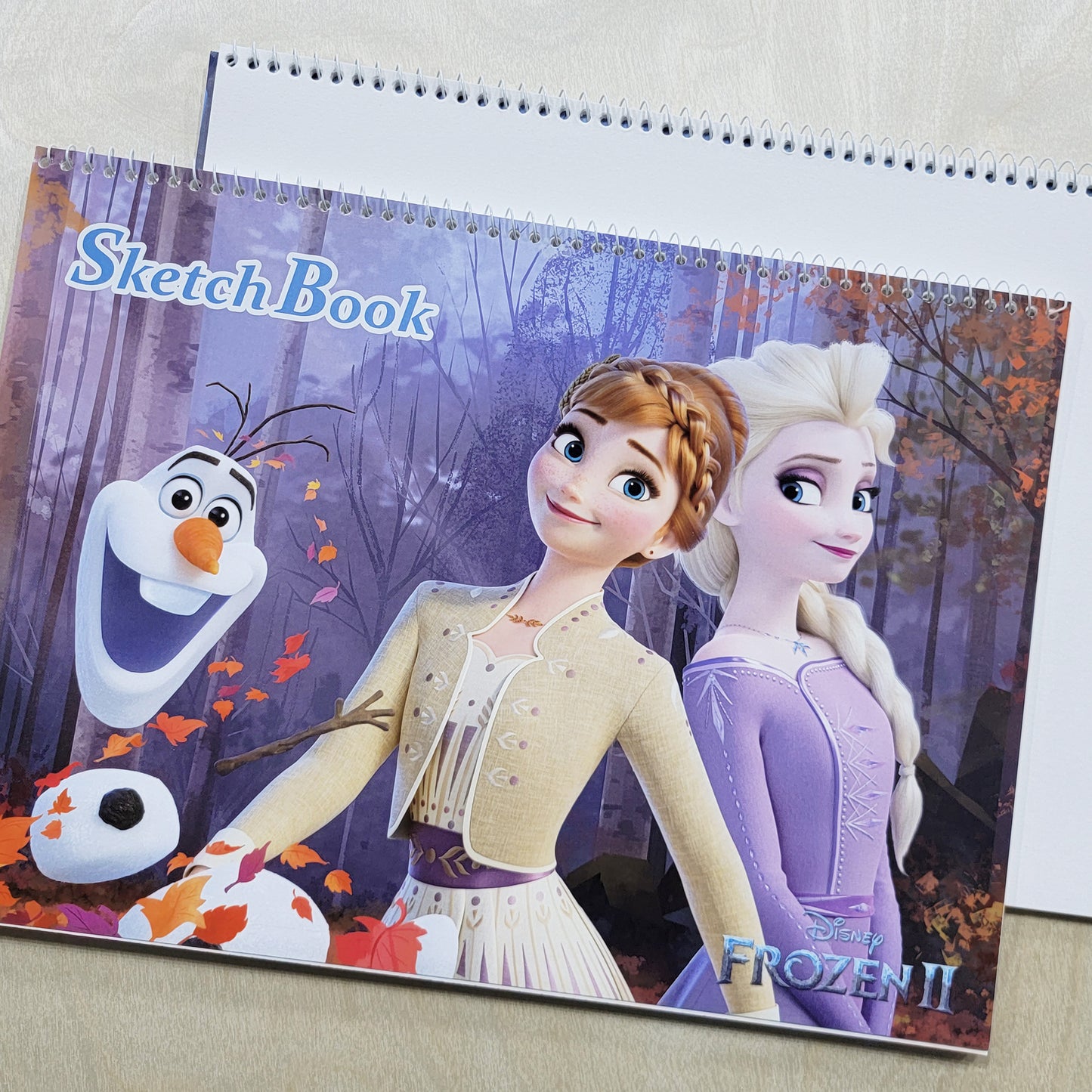 Frozen冰雪奇緣畫簿
