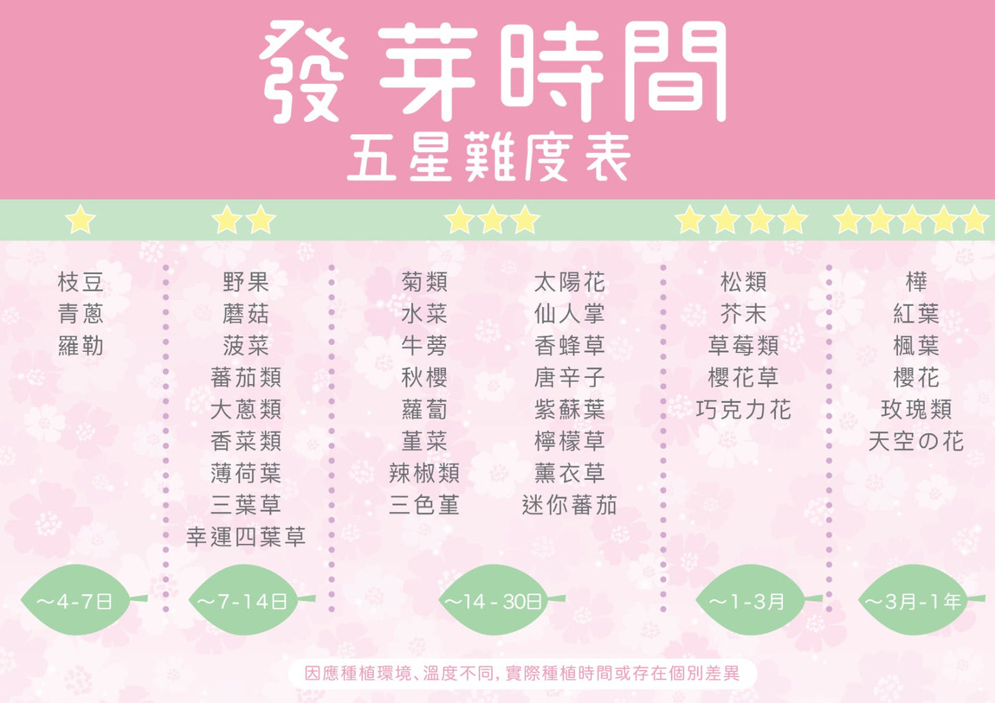 棉花兔尾三葉草盒子
