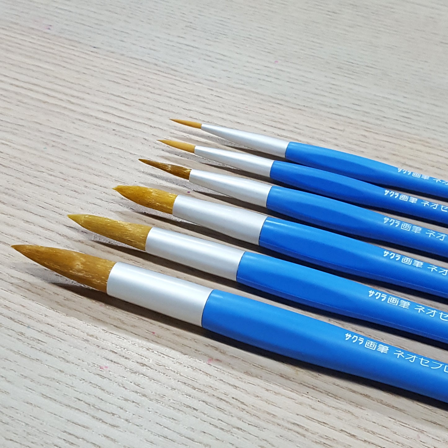 Sakura Neo Sebron三角藍桿水彩筆