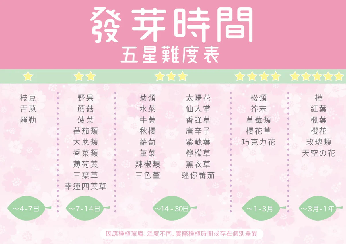 SeiShin 飢餓小貓造型植物盆栽