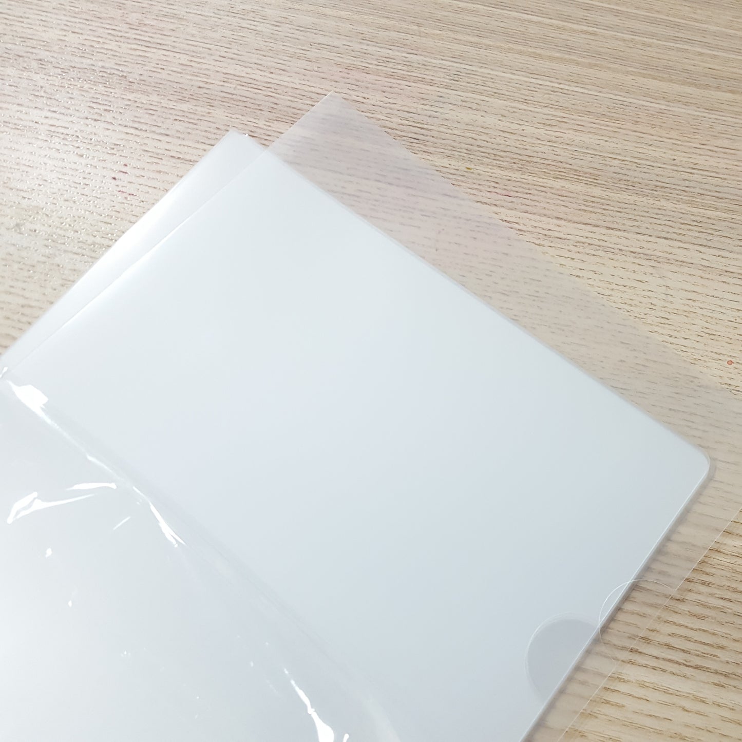 透明A4膠file (12個入)