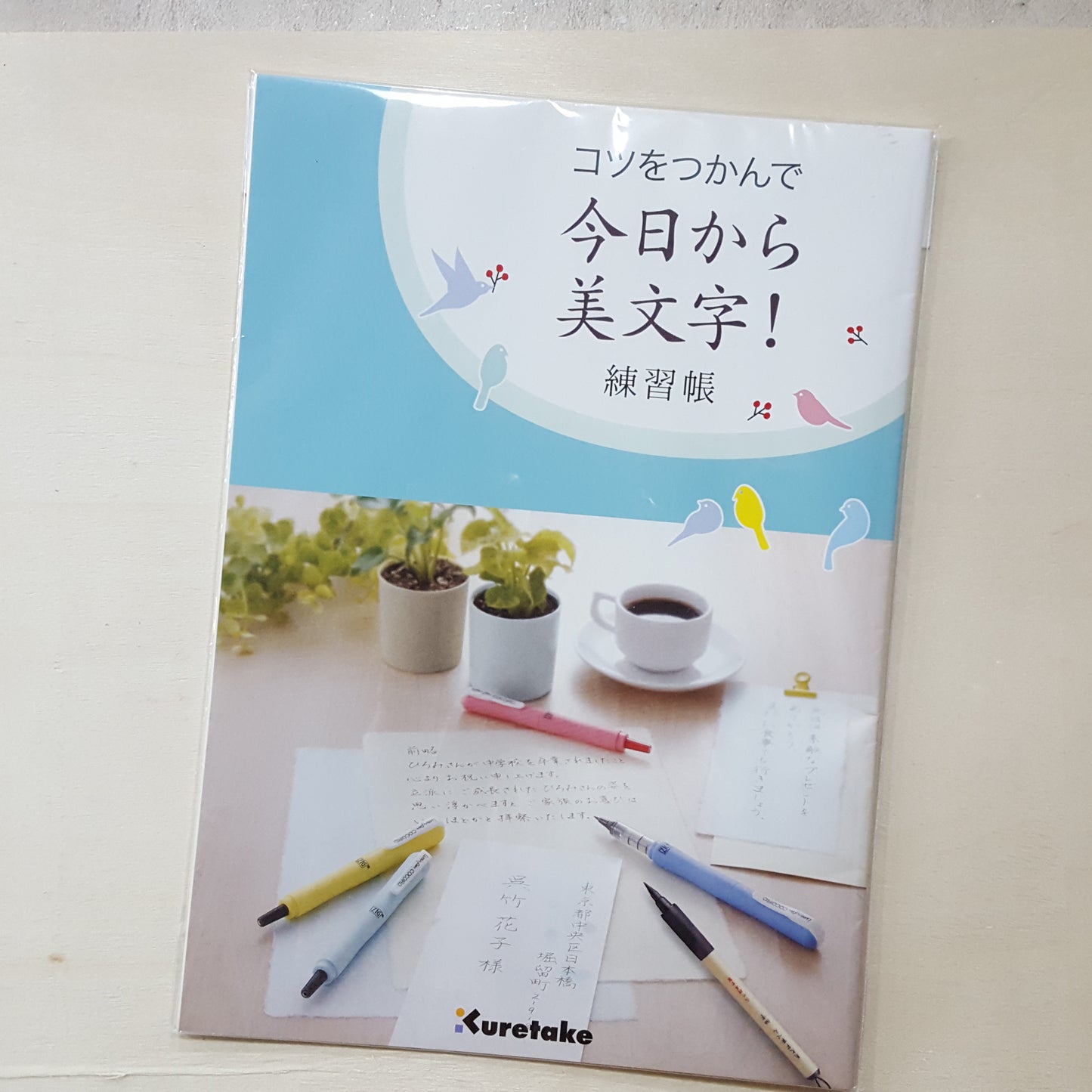 ZIG Calligraphy Book
