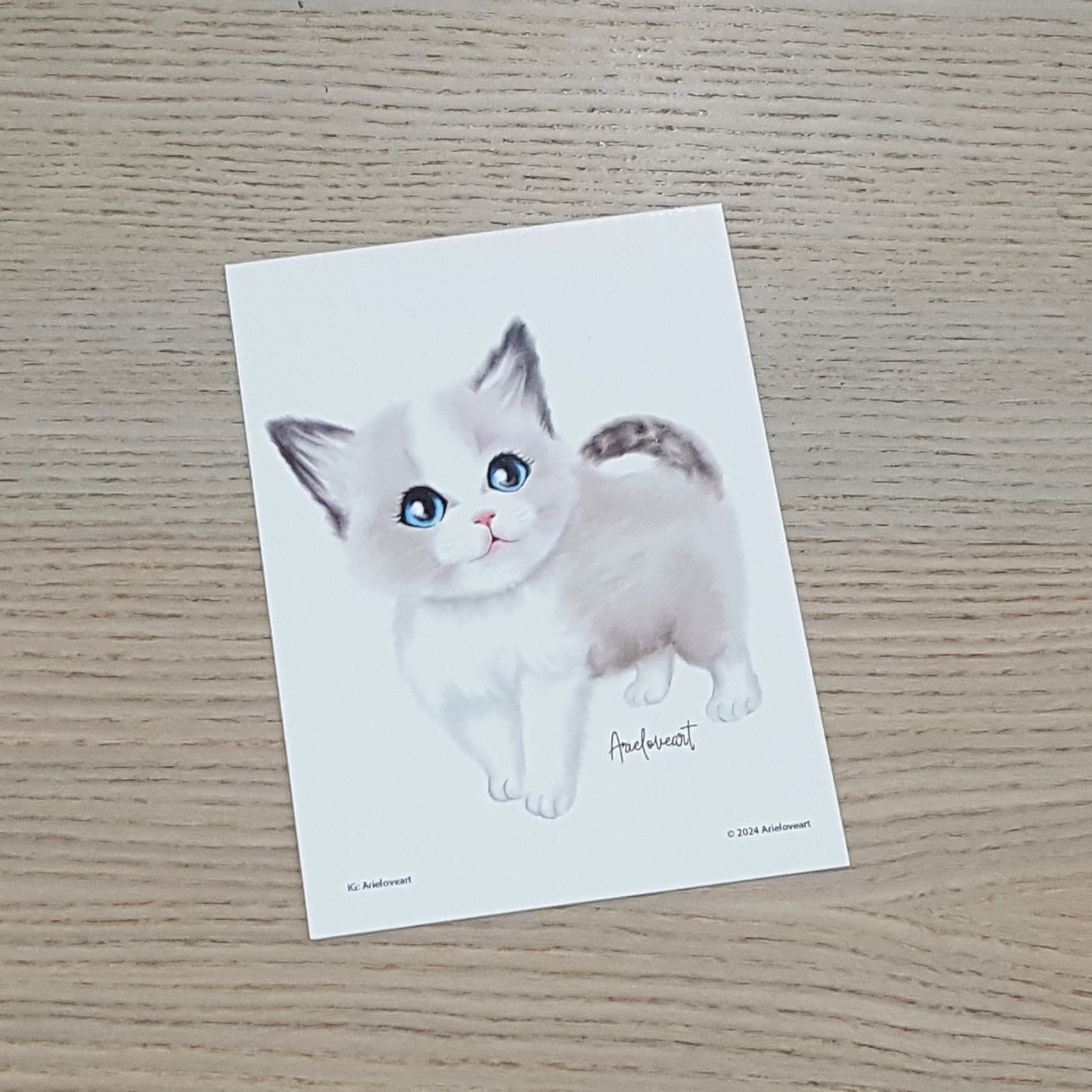 Ariel自家設計postcard