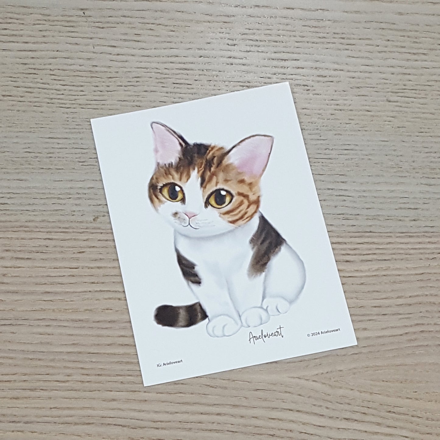 Ariel自家設計postcard