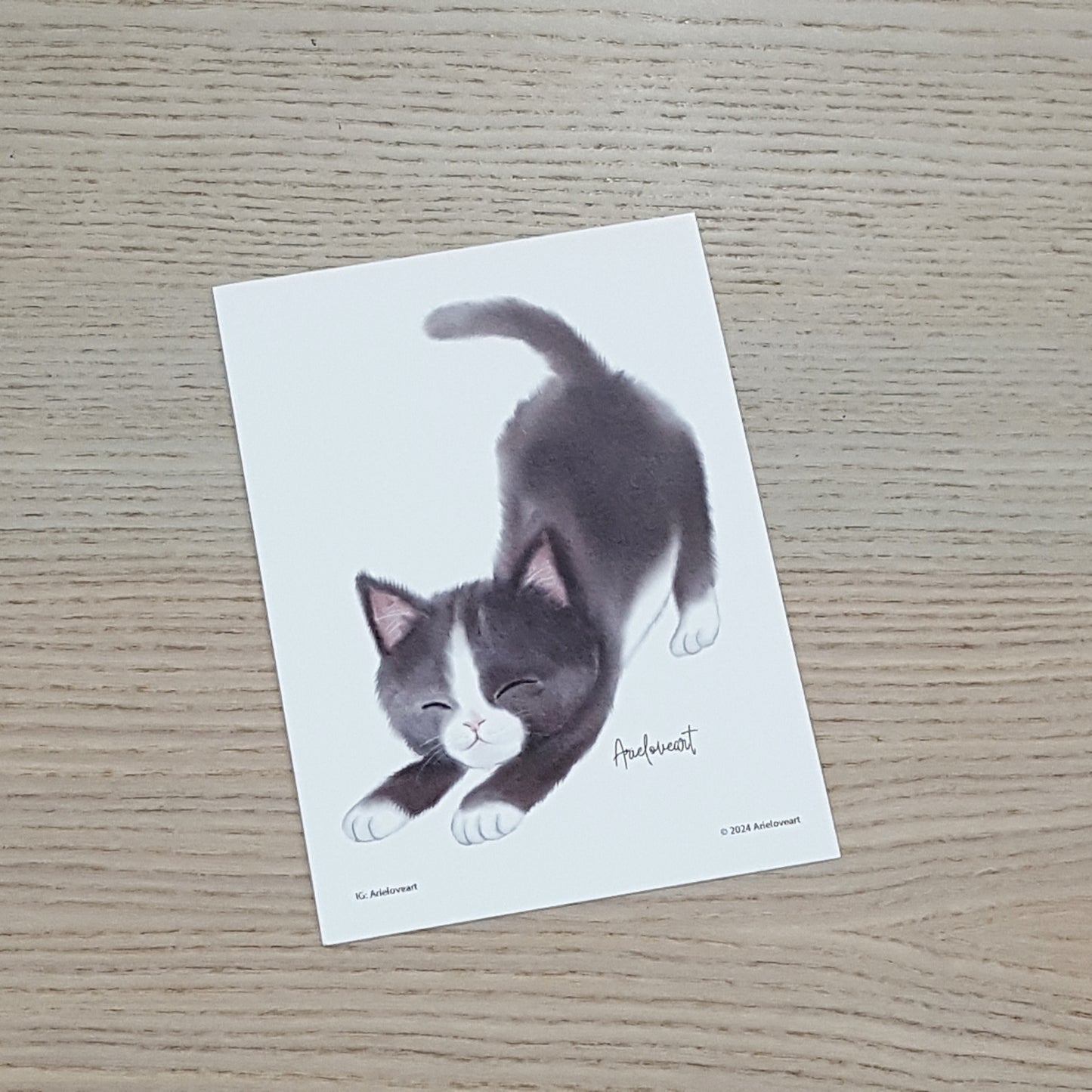 Ariel自家設計postcard