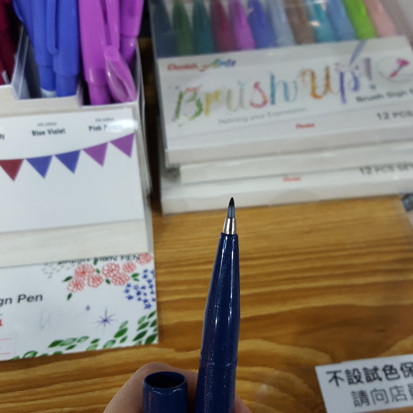 Pentel brush sign pen 柔繪筆